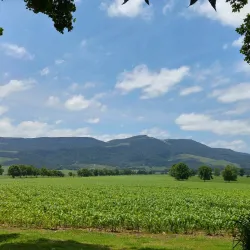 Karkloof Nature Reserve - Drummond