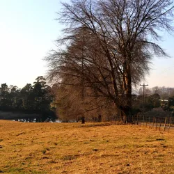 KwaZulu-Natal Midlands Meander - Drummond