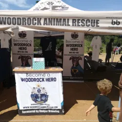 Local Markets and Festivals - Drummond