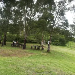 Local Markets and Festivals - Drummond