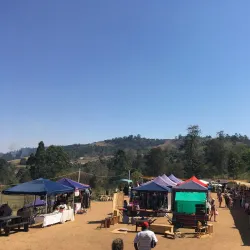 Local Markets and Festivals - Drummond