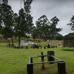 Local Markets and Festivals - Drummond