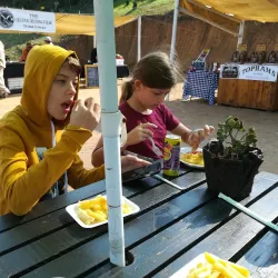 Local Markets and Festivals - Drummond