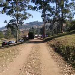 Local Markets and Festivals - Drummond