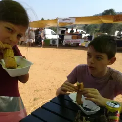 Local Markets and Festivals - Drummond