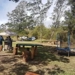 Local Markets and Festivals - Drummond