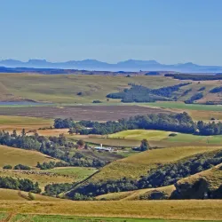 Midlands Meander Food and Wine Experiences - Drummond