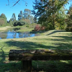 Midlands Meander Hiking Trails - Drummond