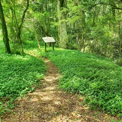 Midlands Meander Hiking Trails - Drummond