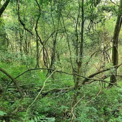 Midlands Meander Hiking Trails - Drummond