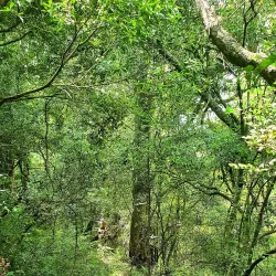 Midlands Meander Hiking Trails - Drummond