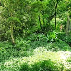 Midlands Meander Hiking Trails - Drummond