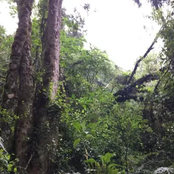 Midlands Meander Hiking Trails - Drummond