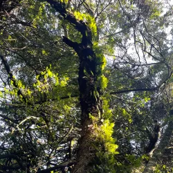 Midlands Meander Hiking Trails - Drummond