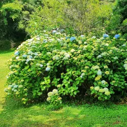 Midlands Meander Hiking Trails - Drummond