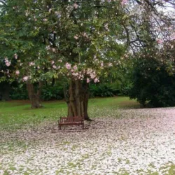 Durban Botanic Gardens - Durban