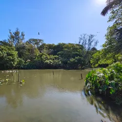 Durban Botanic Gardens - Durban