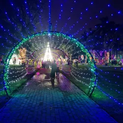 Durban Botanic Gardens - Durban