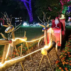 Durban Botanic Gardens - Durban