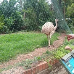 Mitchell Park Zoo - Durban