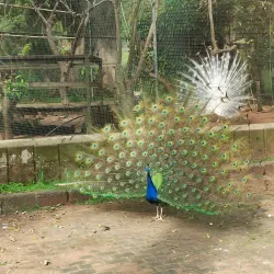 Mitchell Park Zoo - Durban