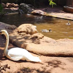 Mitchell Park Zoo - Durban