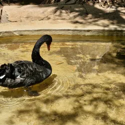 Mitchell Park Zoo - Durban