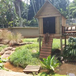 Mitchell Park Zoo - Durban