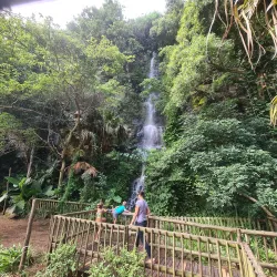 Umgeni River Bird Park - Durban