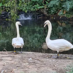 Umgeni River Bird Park - Durban