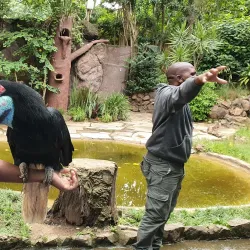 Umgeni River Bird Park - Durban