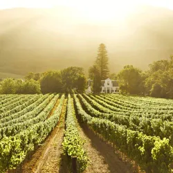 Buitenverwachting Wine Estate - Durbanville