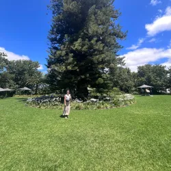 Buitenverwachting Wine Estate - Durbanville