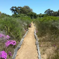 Durbanville Nature Reserve - Durbanville