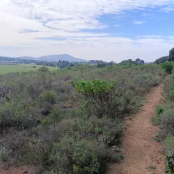 Durbanville Nature Reserve - Durbanville