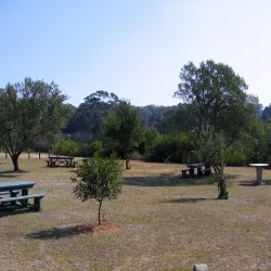 Durbanville Nature Reserve - Durbanville