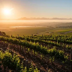 Eversdal Wine Estate - Durbanville