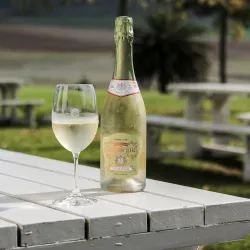 Eversdal Wine Estate - Durbanville