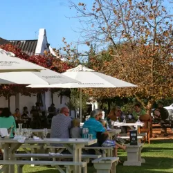 Eversdal Wine Estate - Durbanville