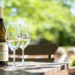 Eversdal Wine Estate - Durbanville