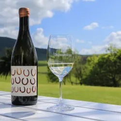 Eversdal Wine Estate - Durbanville