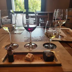 Meerendal Wine Estate - Durbanville
