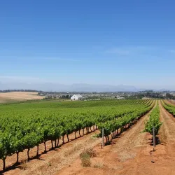 Meerendal Wine Estate - Durbanville