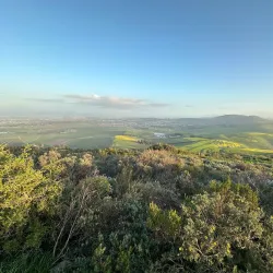 Meerendal Wine Estate - Durbanville