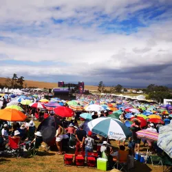 Meerendal Wine Estate - Durbanville