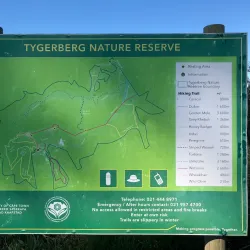 Tygerberg Nature Reserve - Durbanville