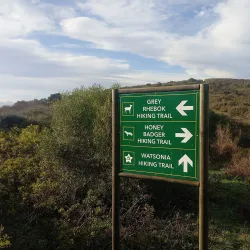 Tygerberg Nature Reserve - Durbanville