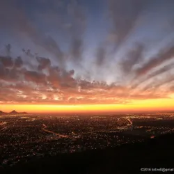 Tygerberg Nature Reserve - Durbanville