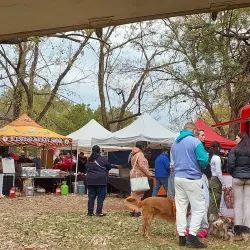 Edenvale Market - Edenvale