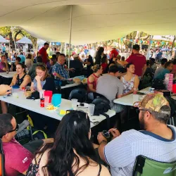 Edenvale Market - Edenvale